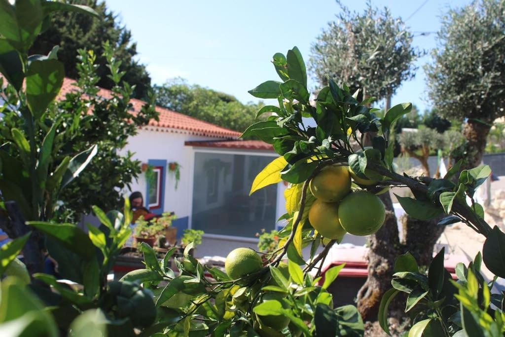 Villa Casa Manuel E Maria Fatima Esterno foto